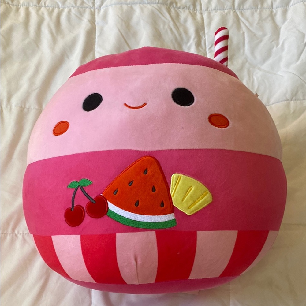 Jans fruit punch squishmallow